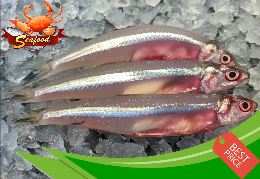 Anchovies.jpg