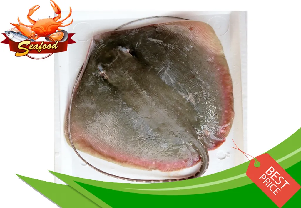 Ikan Pari.jpg