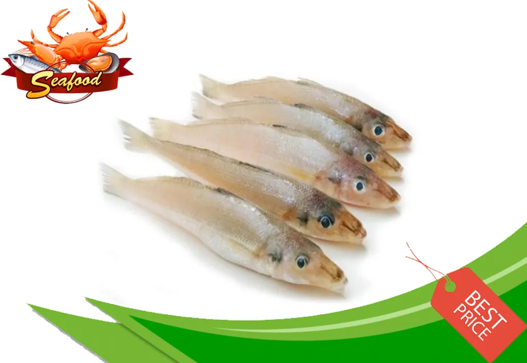 Ikan Bulus.jpg