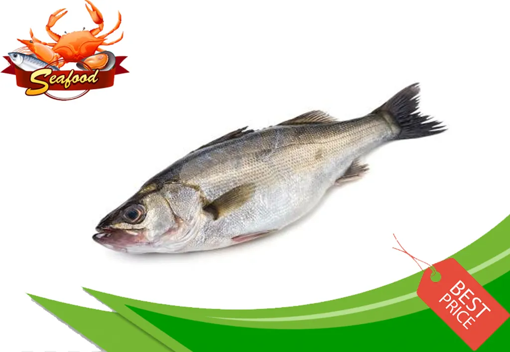 Ikan Susu.jpg