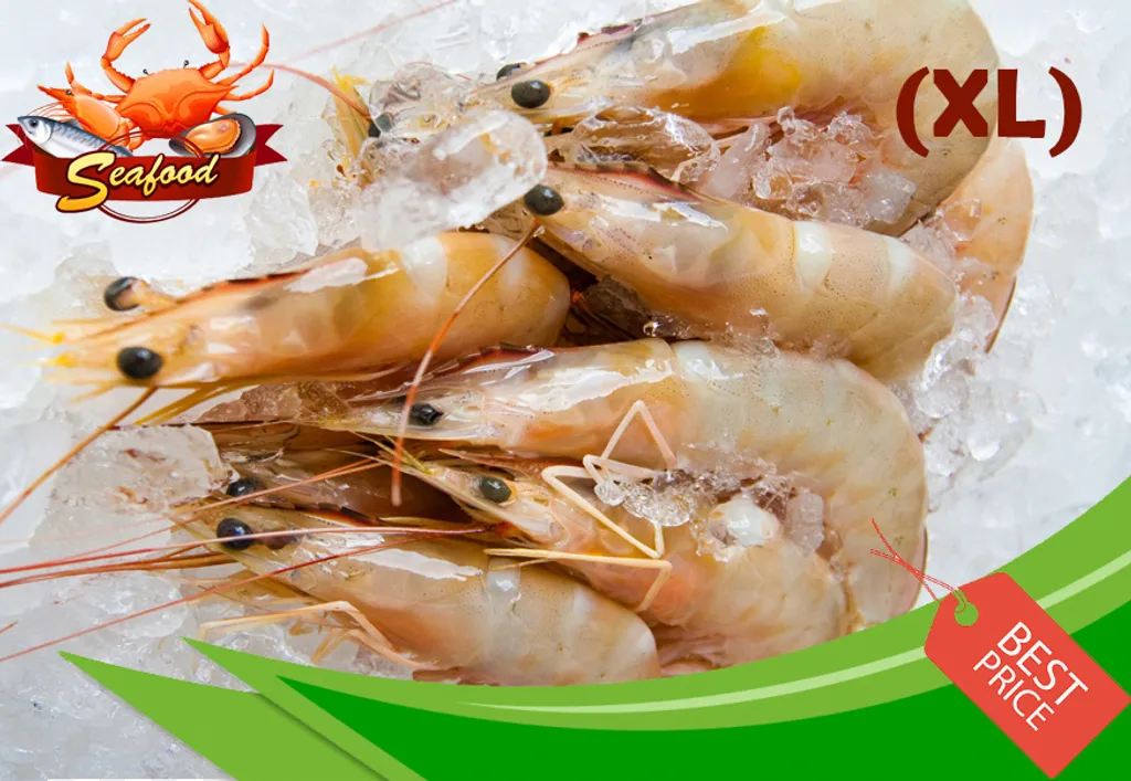 Sea Prawn (XL).jpg