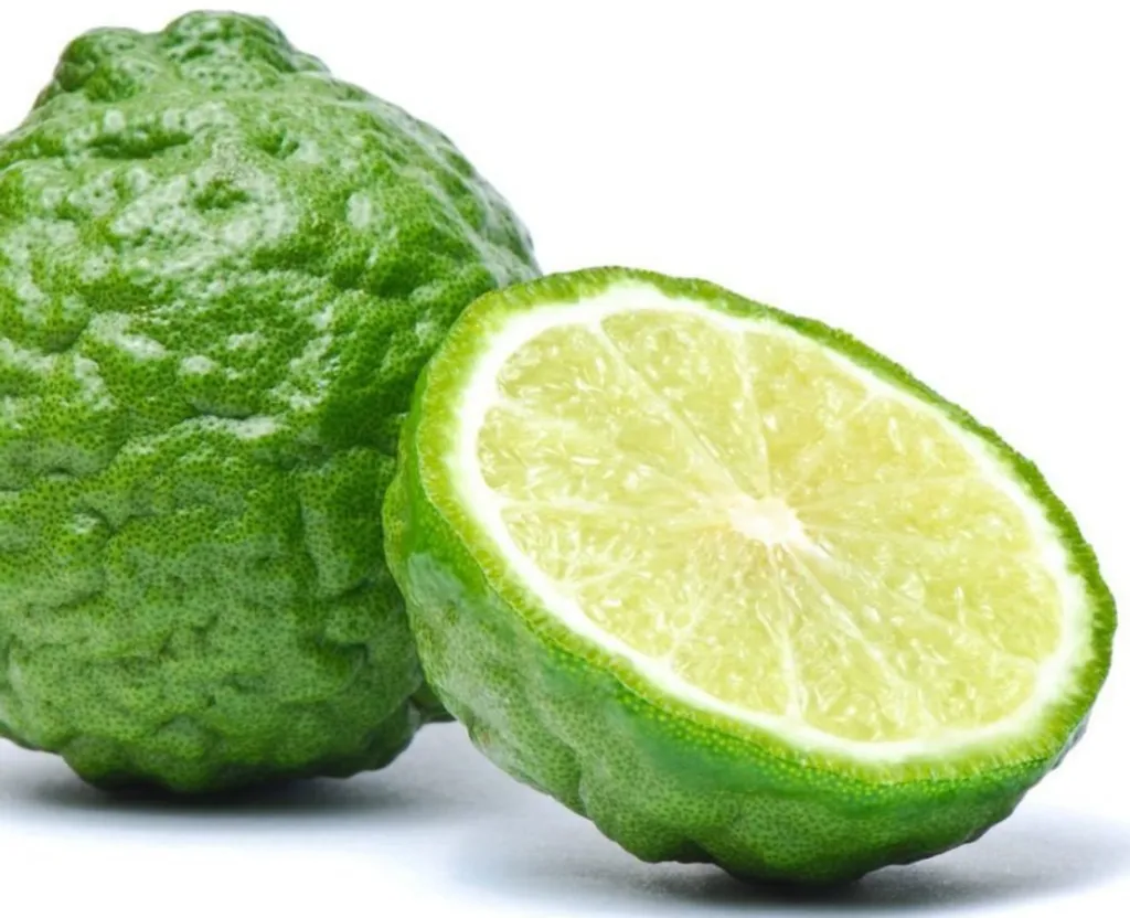 Limau Purut buah.png