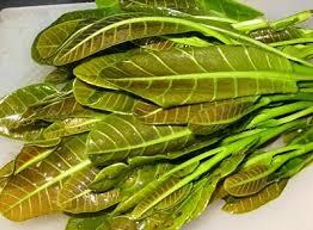 Ulam Gajus.jfif