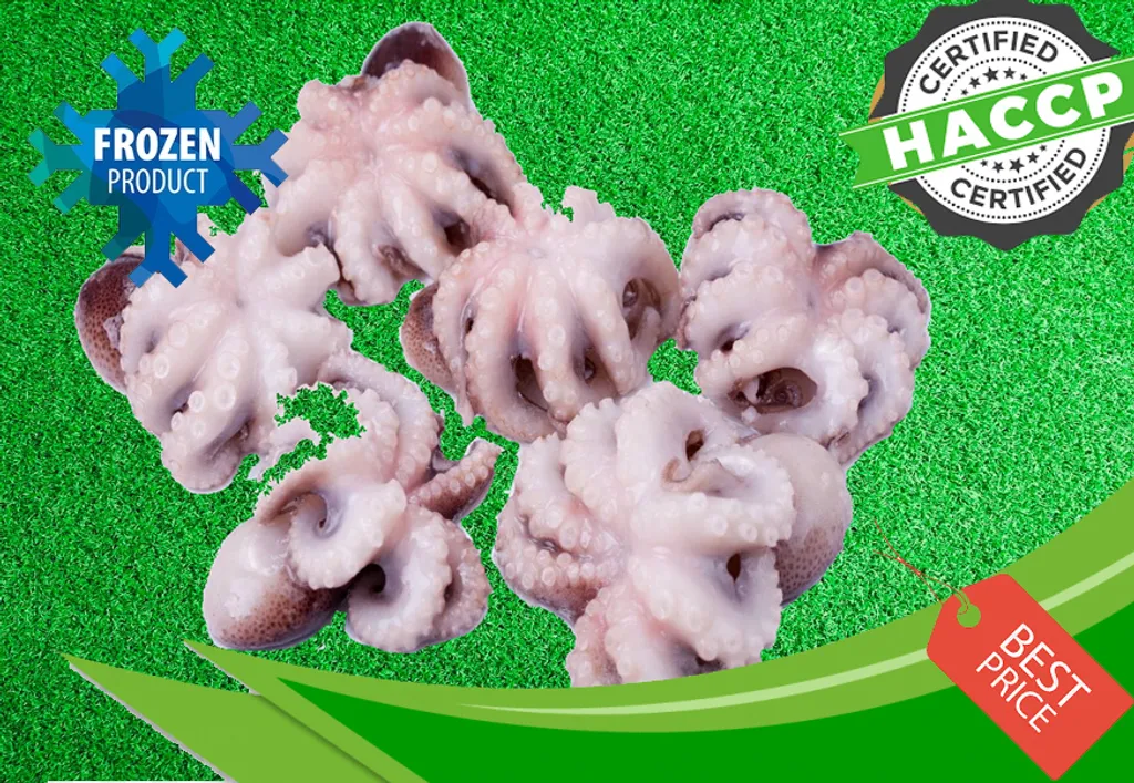 Baby Octopus.jpg