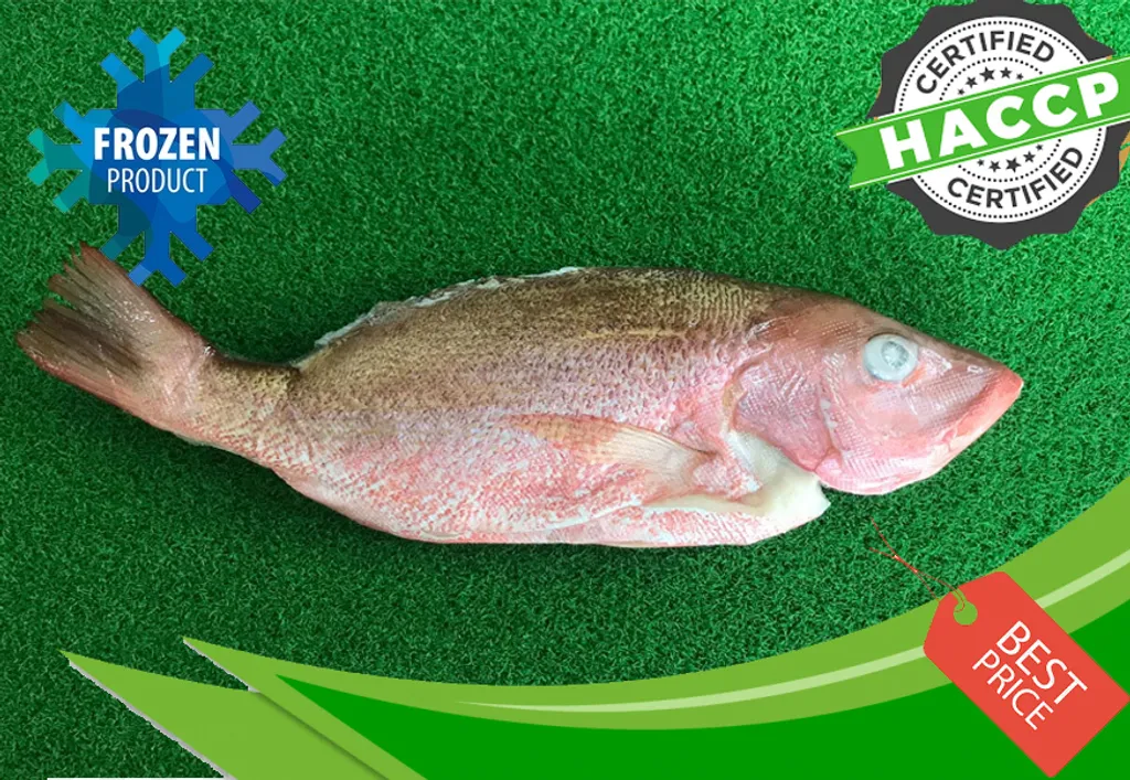 Sabah Red Snapper (600-800G).jpg