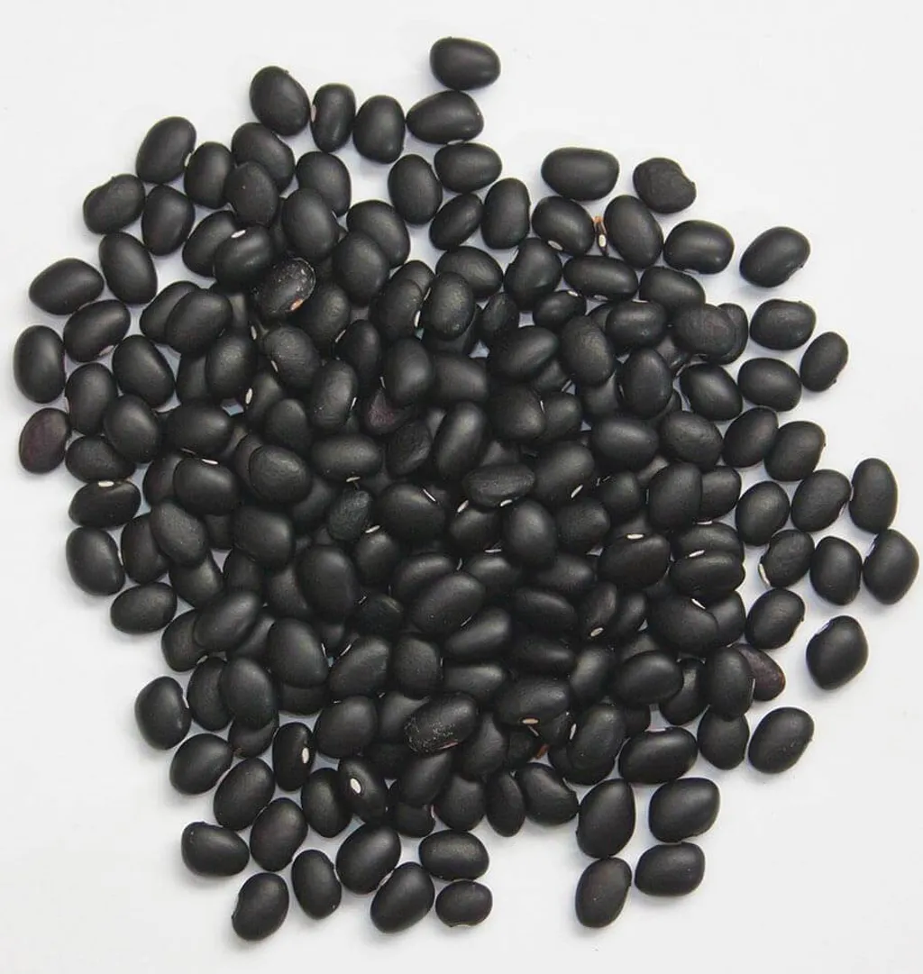 BN143_Black-Turtle_beans_1_1024x1024