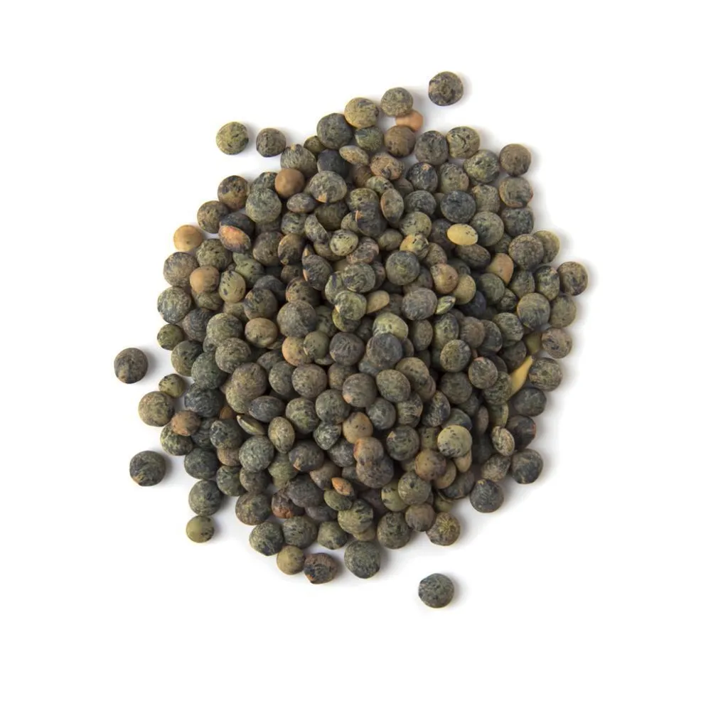 Lentils_frnch_green_du_puy_lentils_500g_1000x