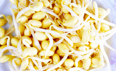 Soybean_Sprouts_406x250.jpg