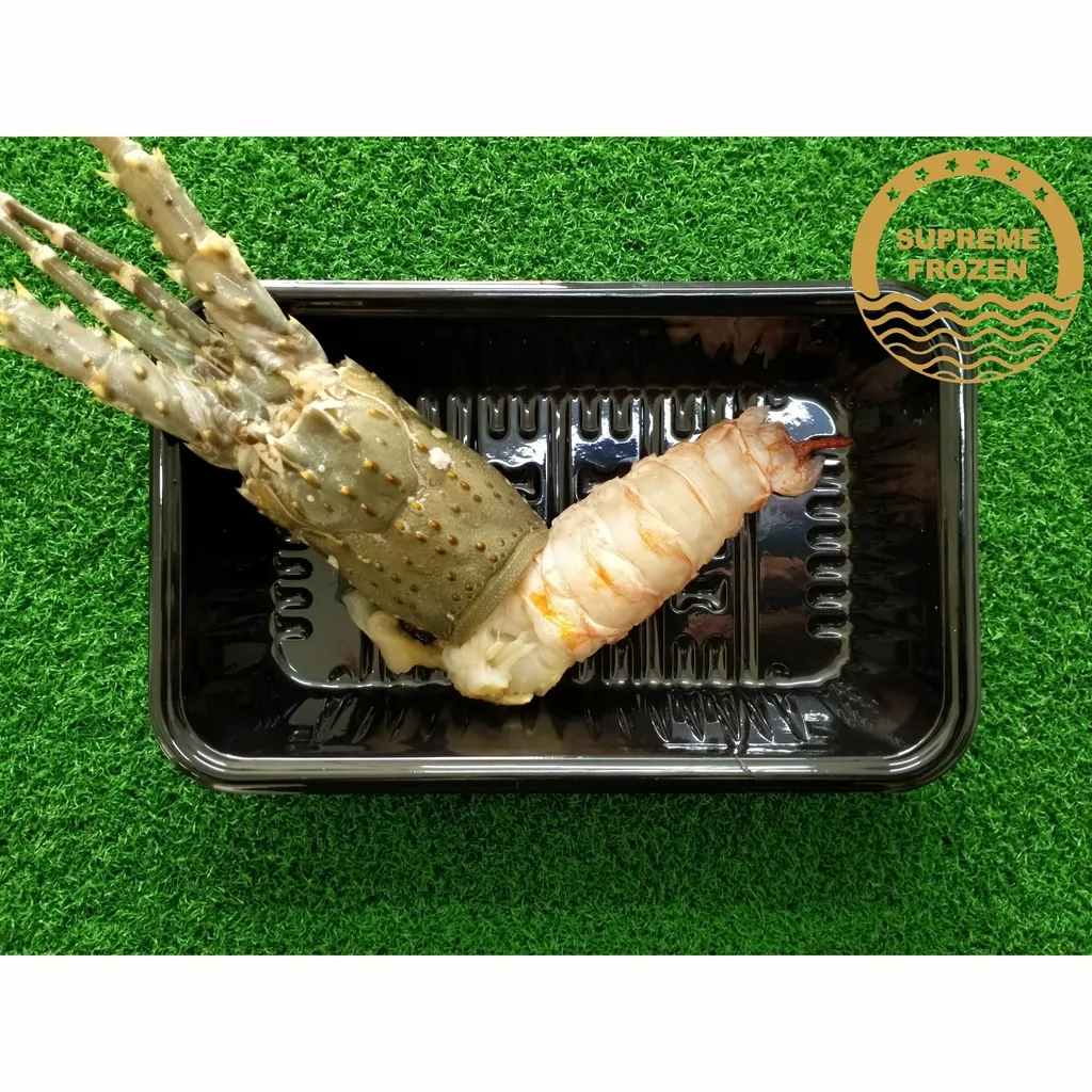 Lobster-Meat--scaled
