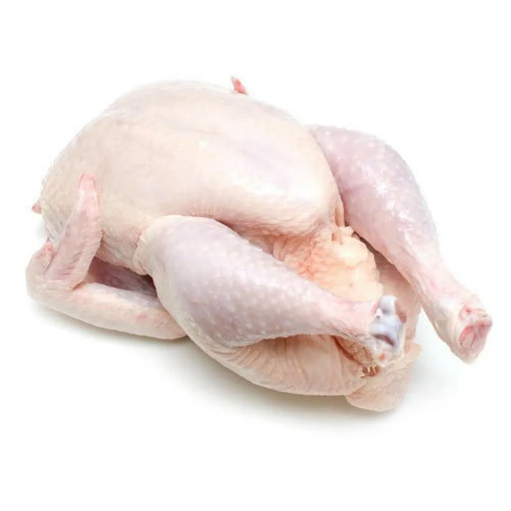 spring chick.jpg