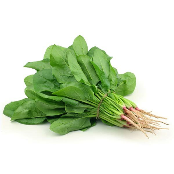 plagafarm-english-spinach-1.jpg