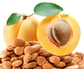 Apricot Seeds-03
