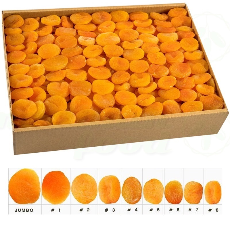 Dried Apricots 5KG