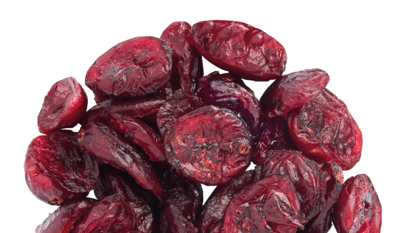 Dried Cranberries-09