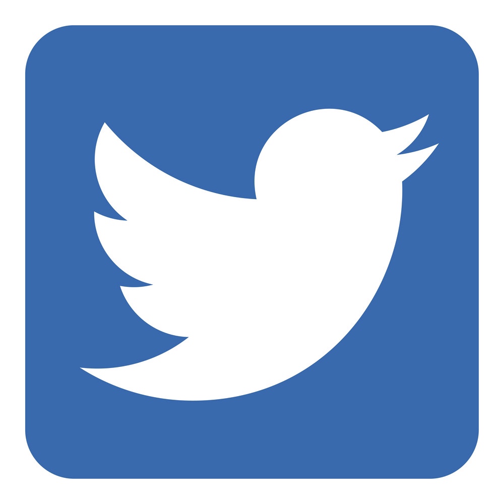 twitter-logo-icon-vector-27990447 2.jpg