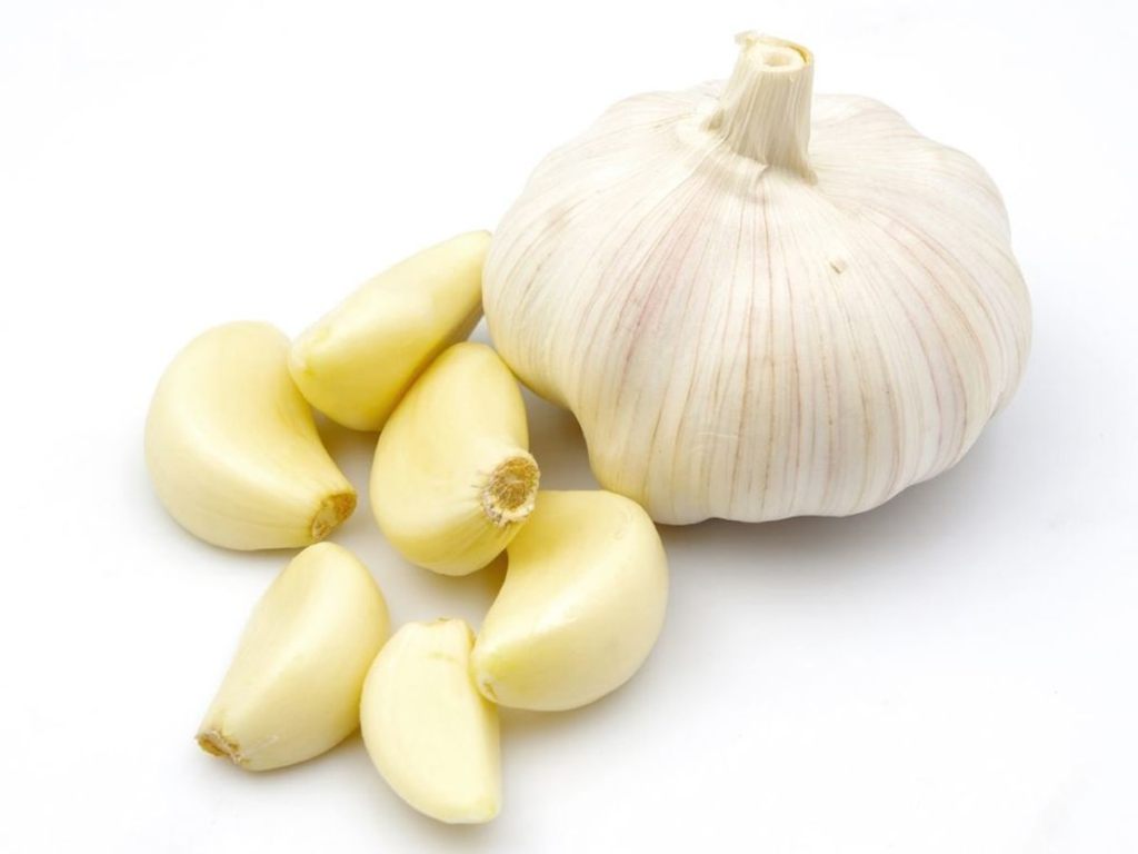 garlic.png