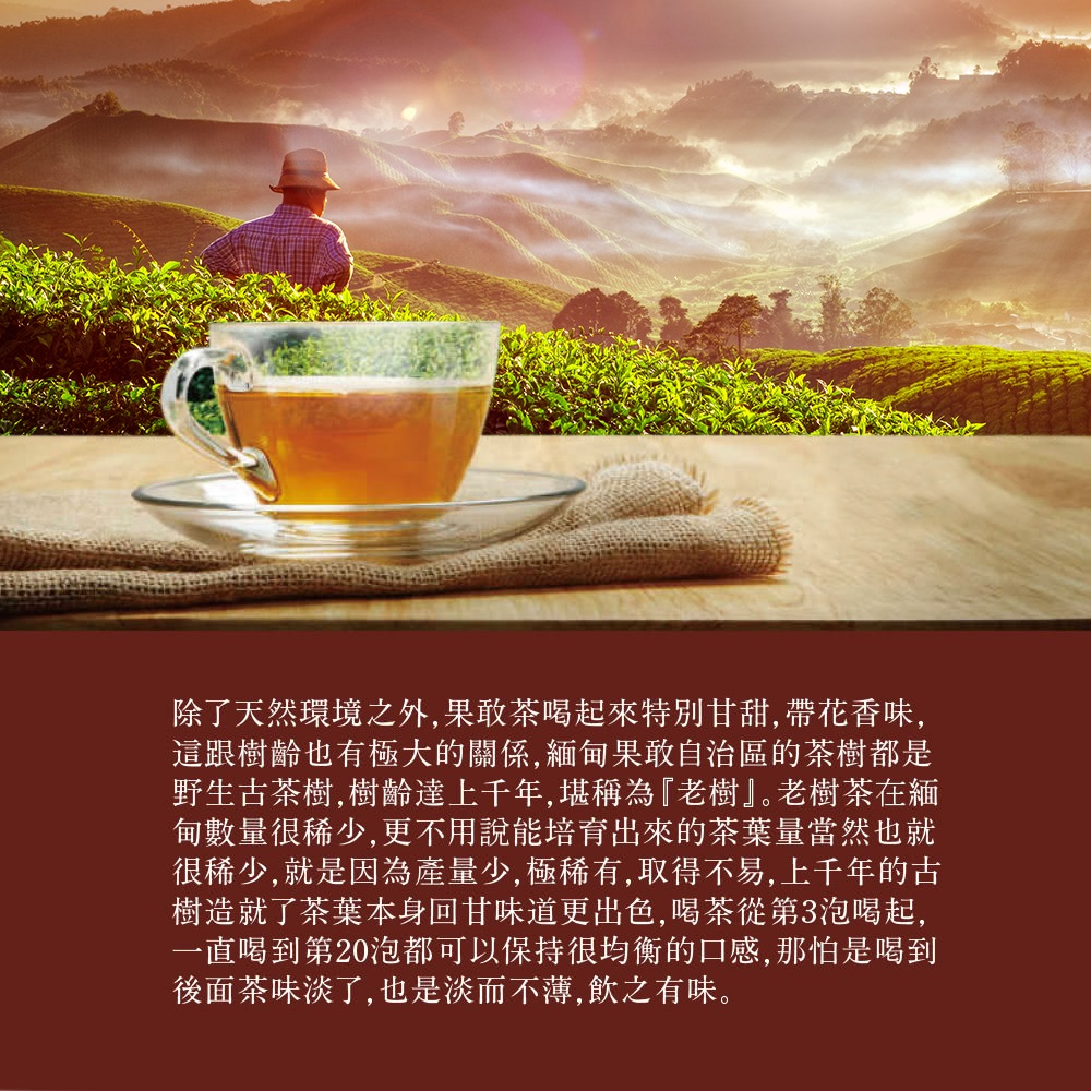 美妙山果敢古樹茶.jpg 美妙山果敢古樹茶.jpg