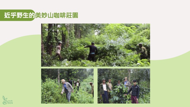 美妙山咖啡禮盒06