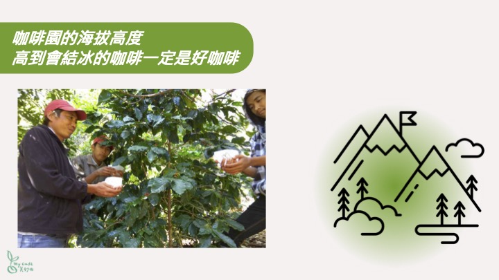 美妙山咖啡禮盒11
