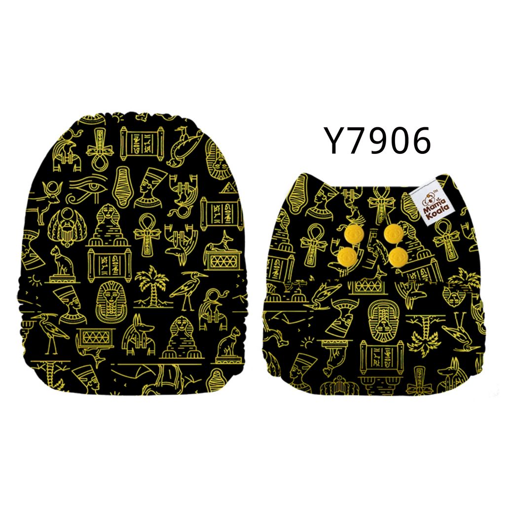 Y7906.jpg