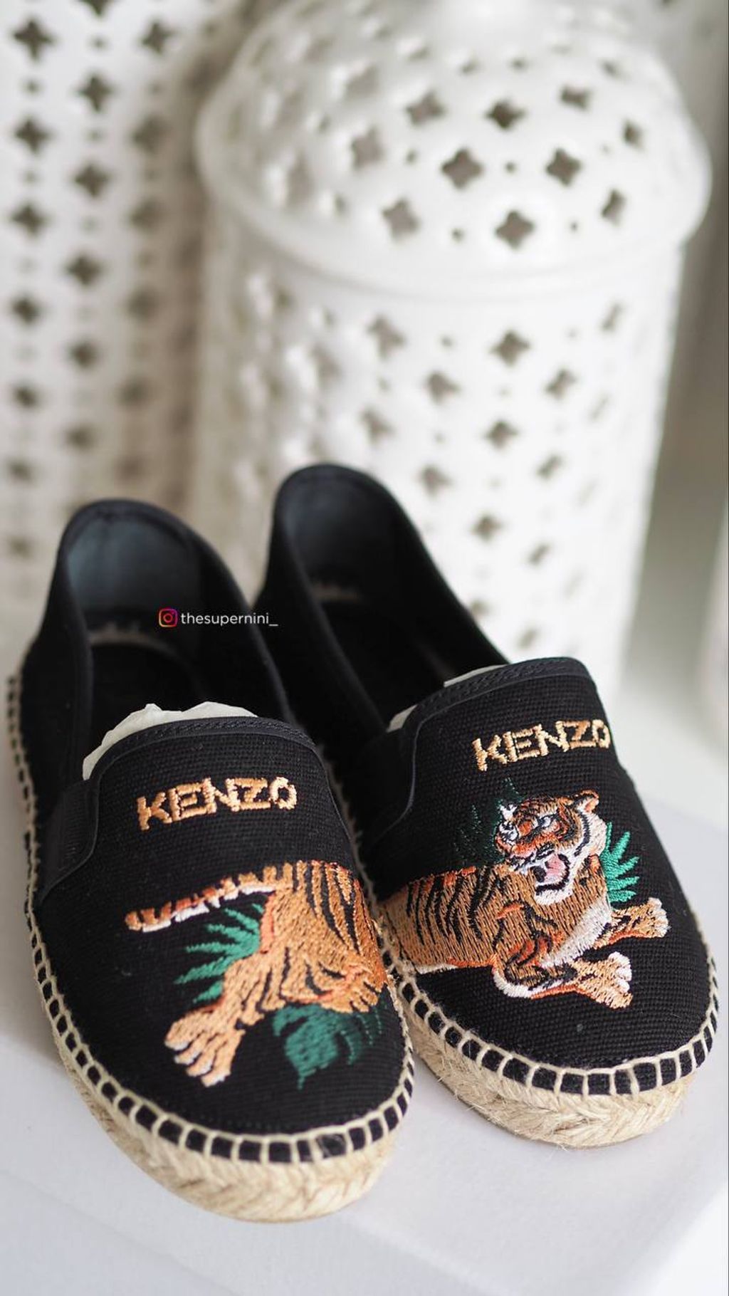 IMAGE 2026-01-03 23:28:58