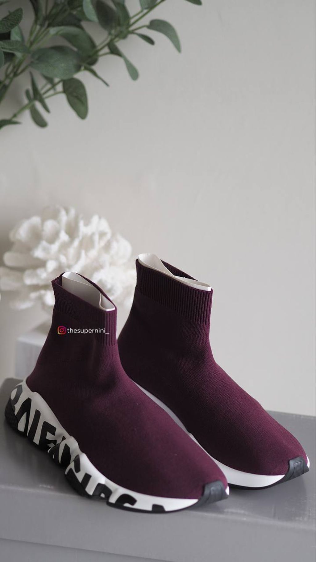 IMAGE 2026-01-03 23:35:52