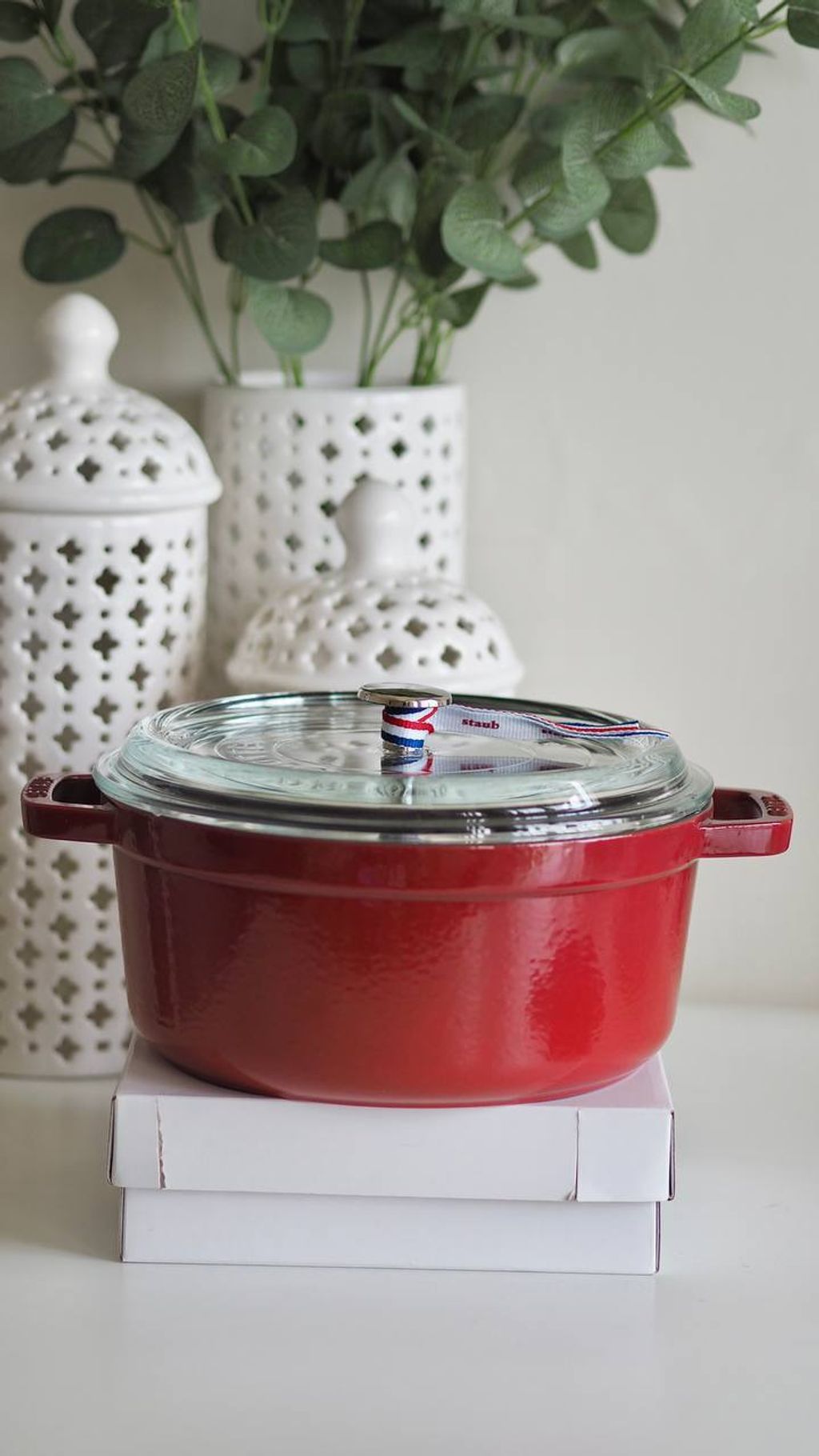 IMAGE 2026-01-03 23:50:11