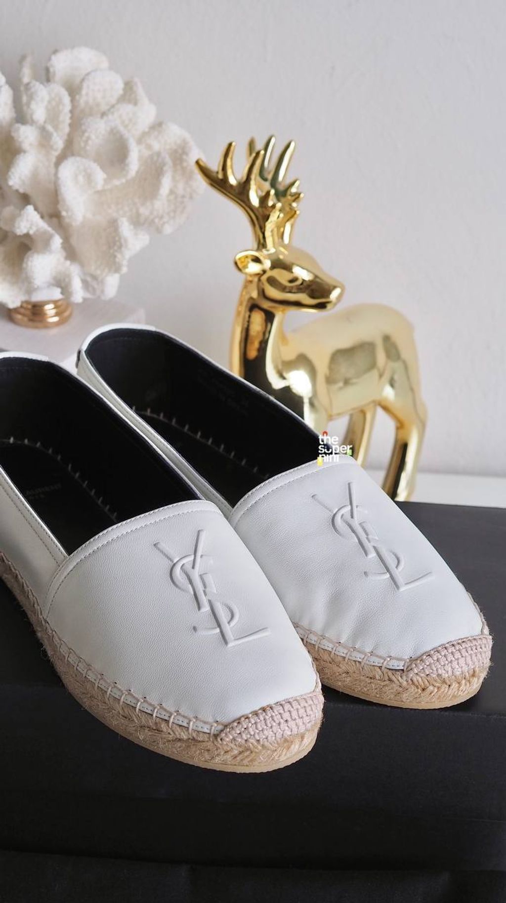 IMAGE 2026-01-04 00:35:40