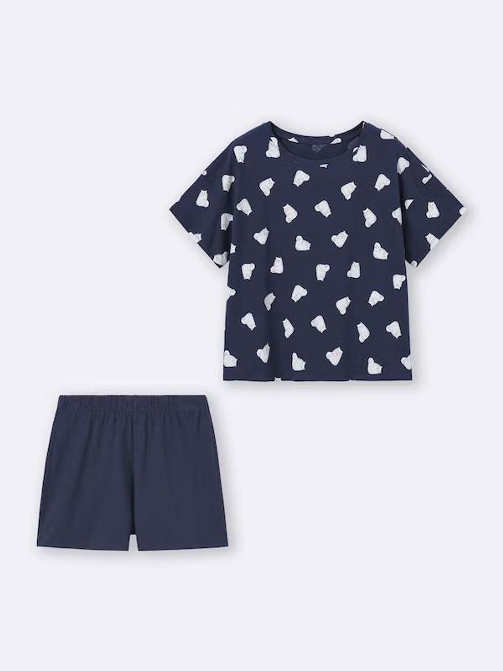 PHOTO-2026-01-06-22-25-23