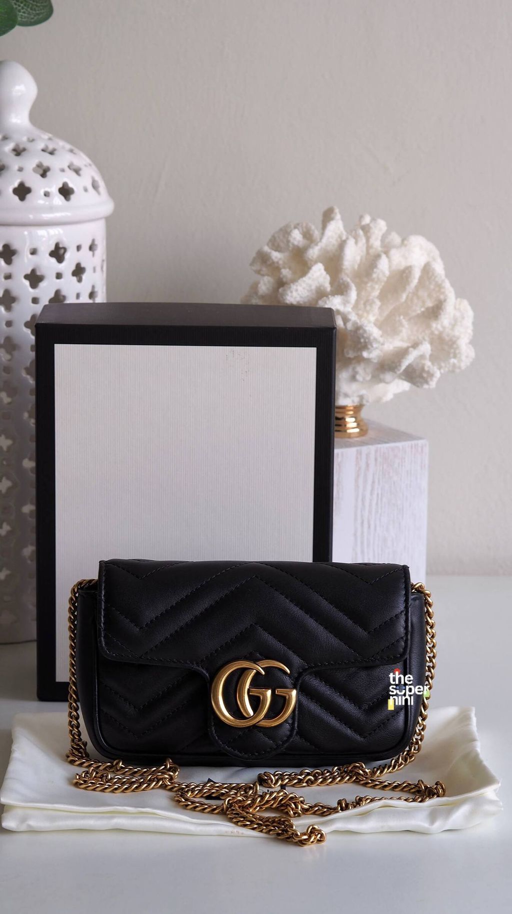 IMAGE 2026-01-07 11:52:50