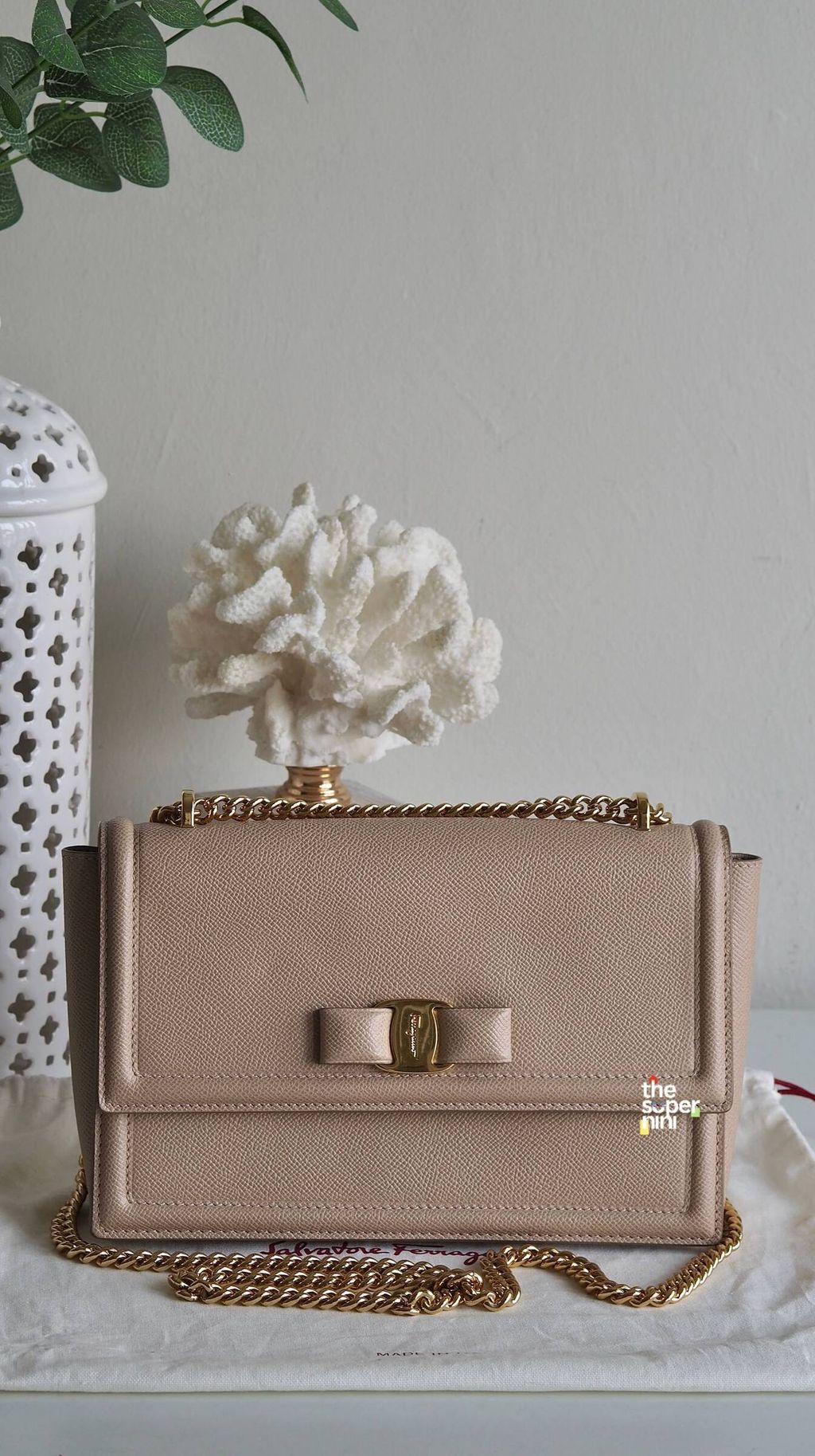 IMAGE 2026-01-07 13:30:43