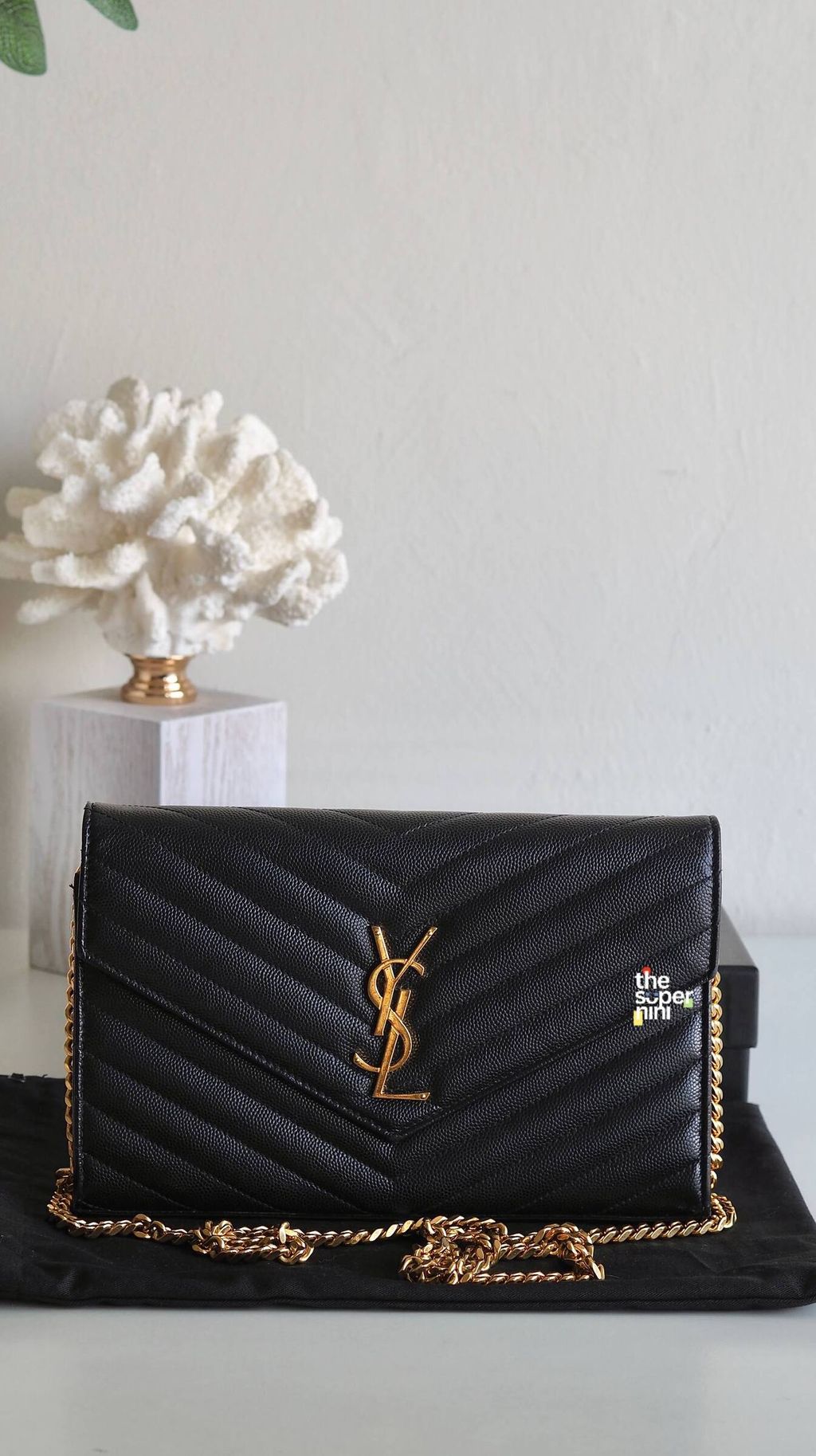 IMAGE 2026-01-07 13:41:05