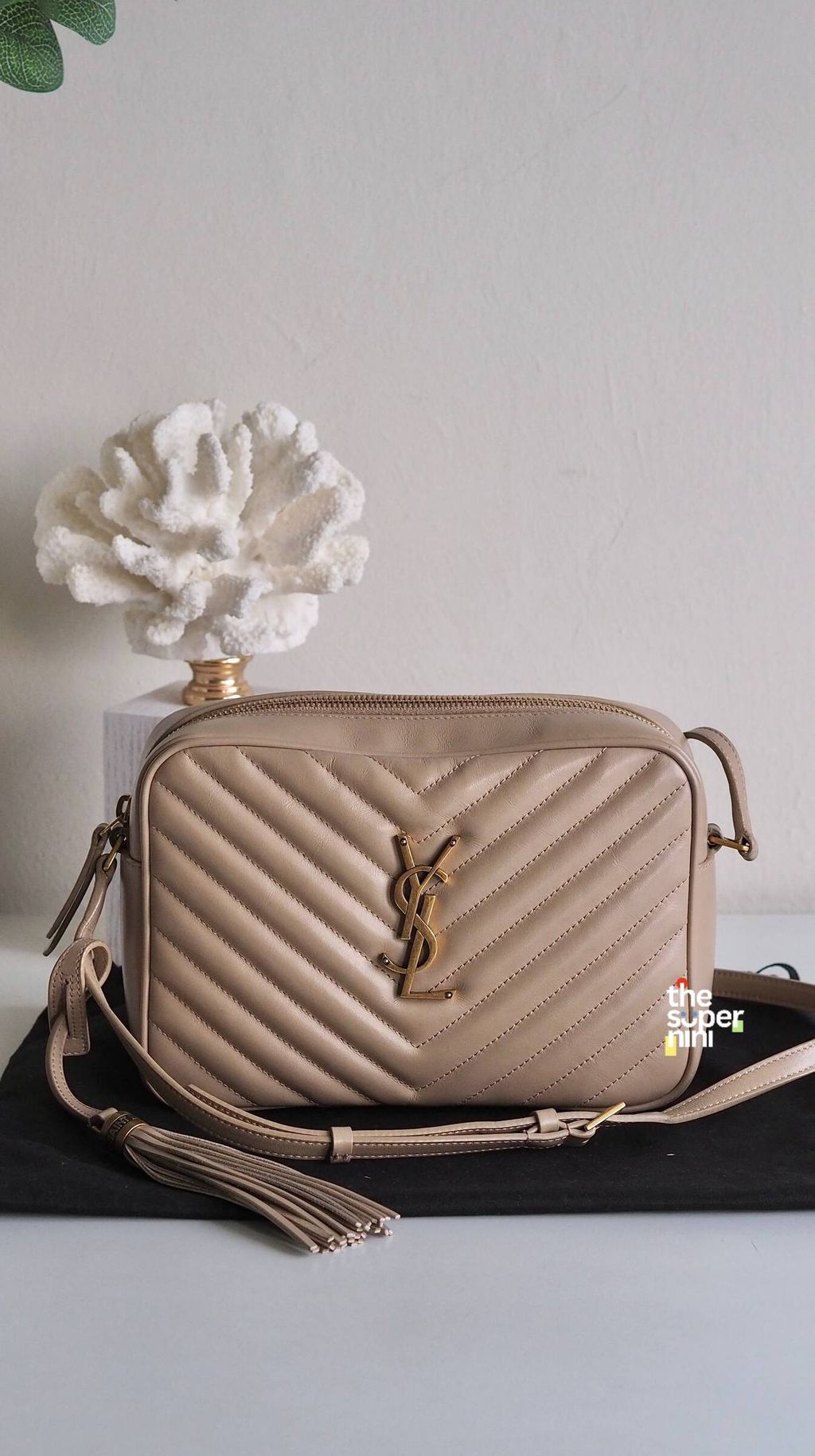 IMAGE 2026-01-07 15:02:53