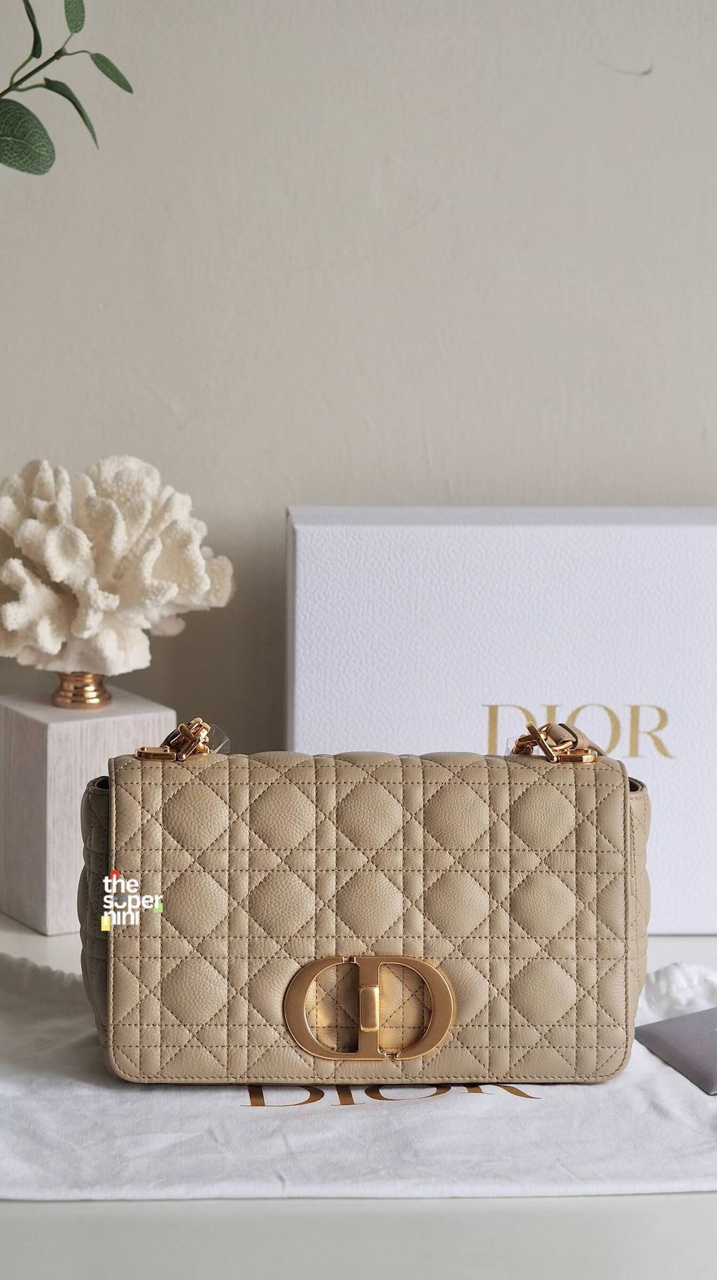 IMAGE 2026-01-07 15:13:44