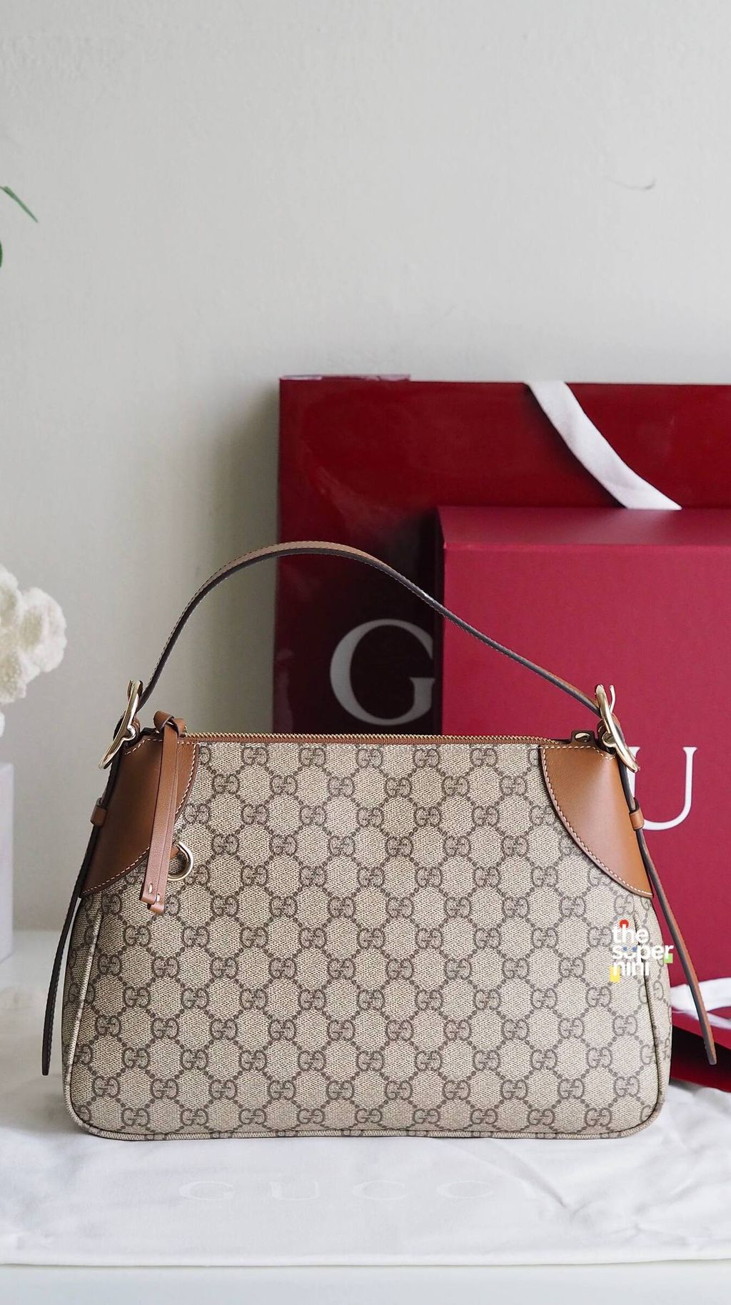 IMAGE 2026-01-07 15:21:55