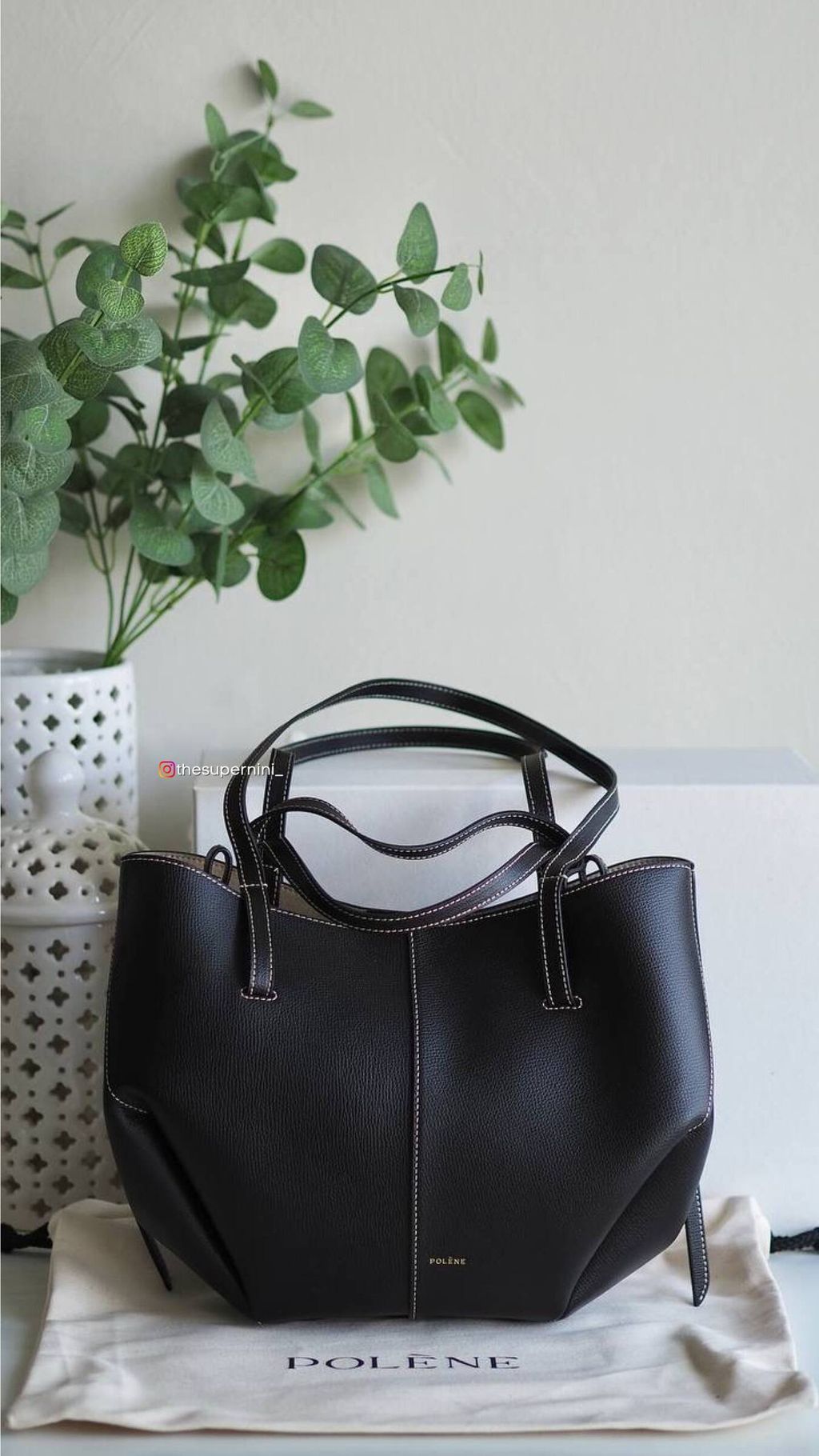 IMAGE 2026-01-09 21:49:42