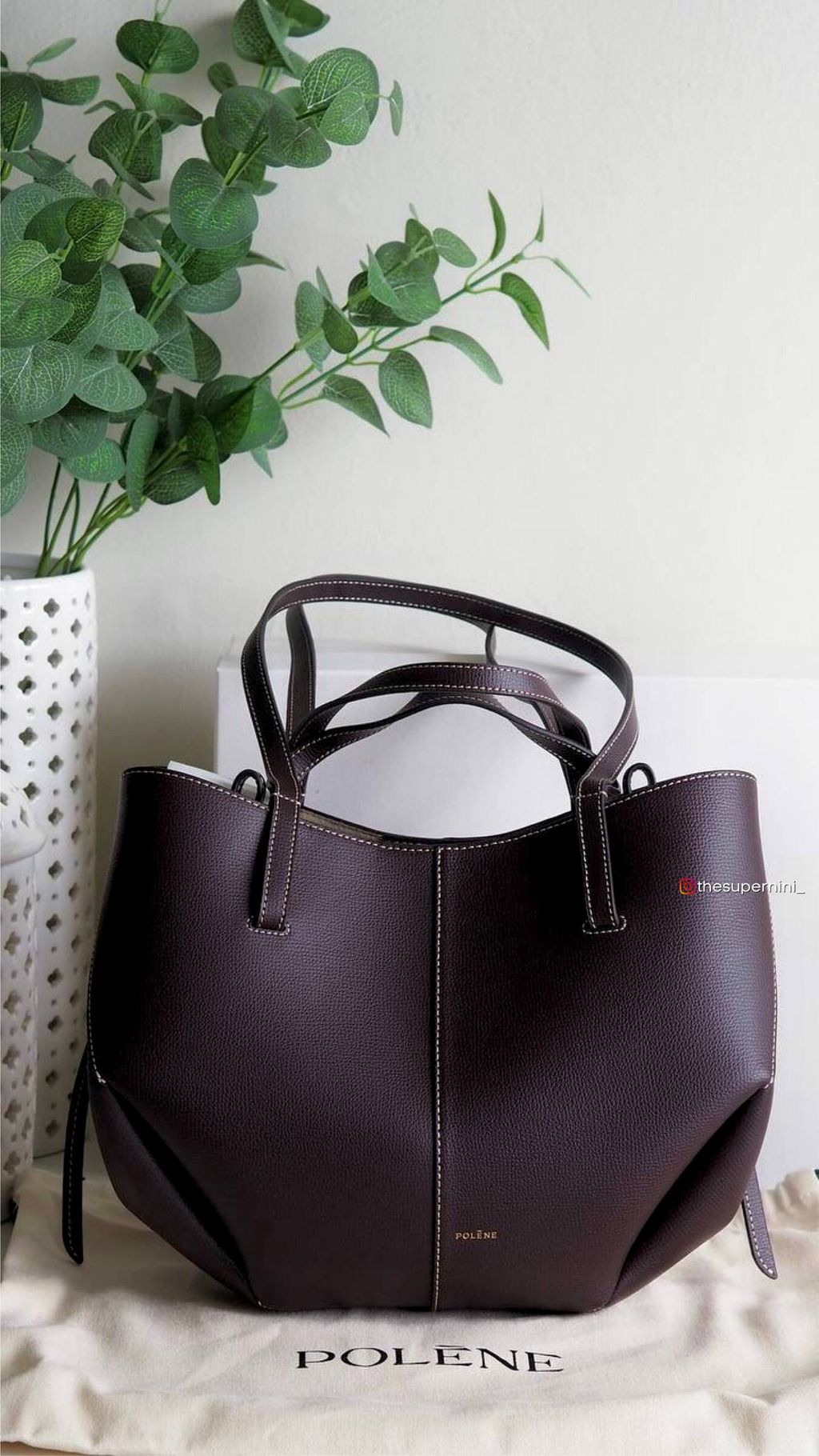 IMAGE 2026-01-11 19:39:56