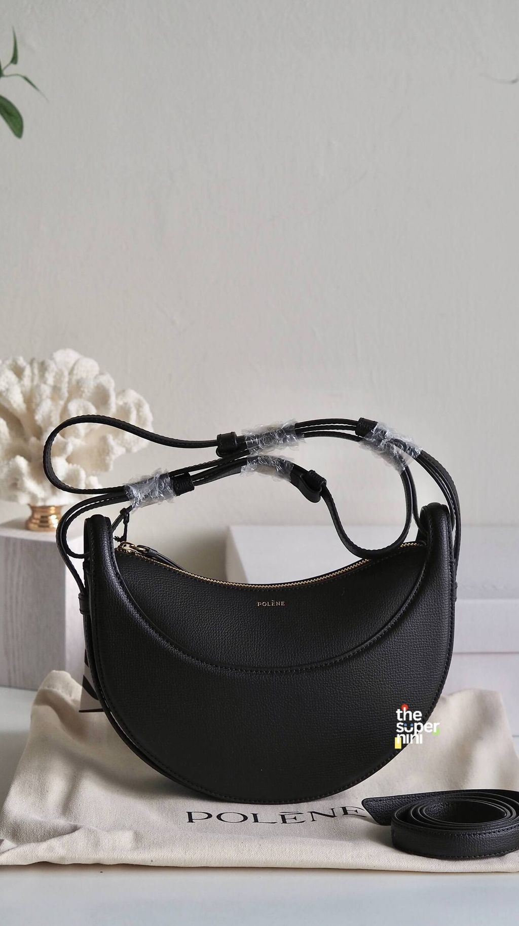 IMAGE 2026-01-28 20:19:43