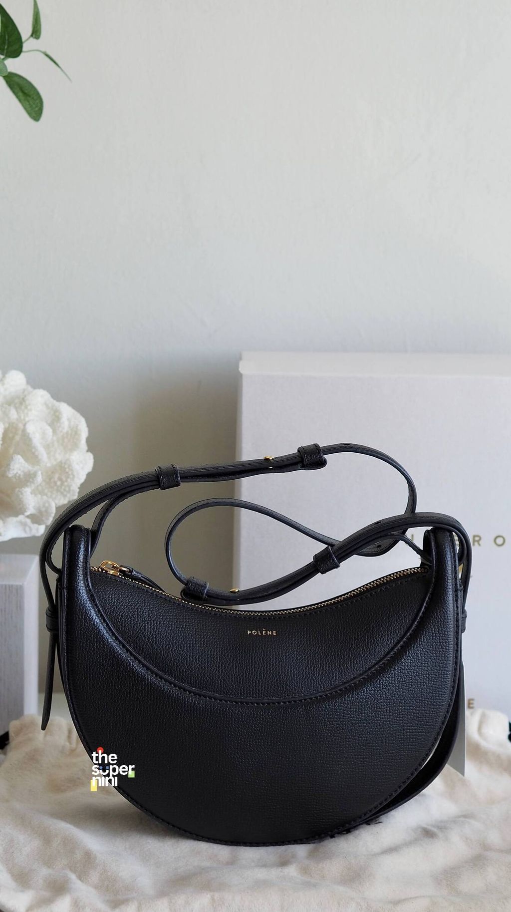 IMAGE 2026-01-28 20:24:38