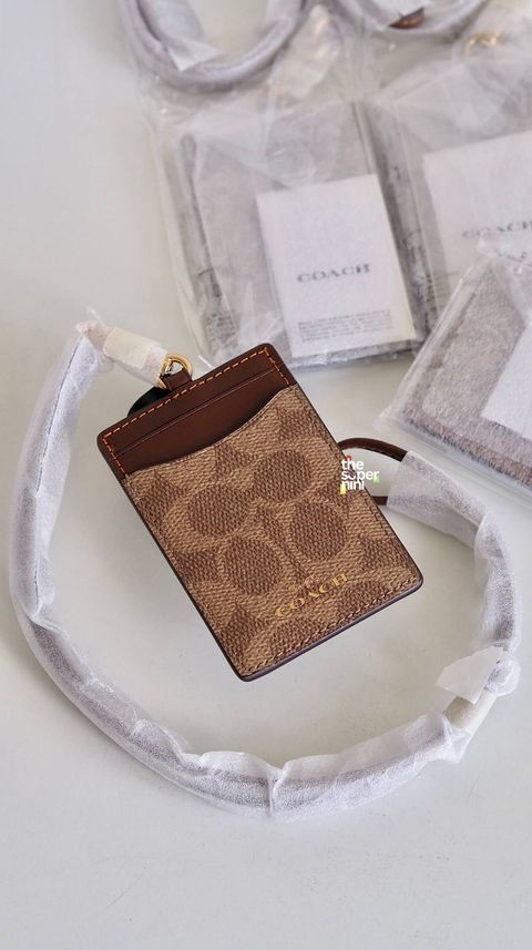 IMAGE 2026-01-29 15:20:44