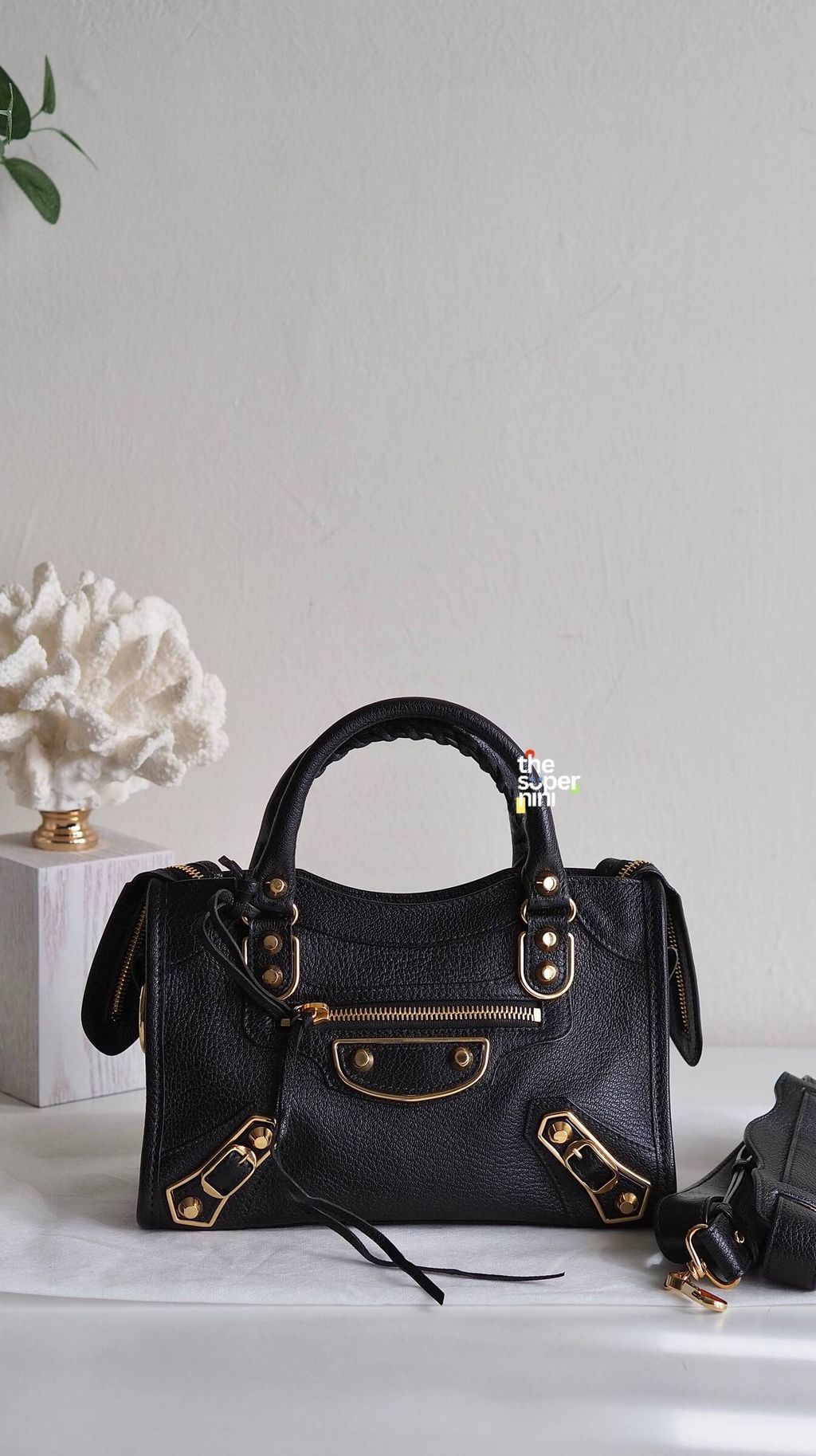 IMAGE 2026-01-29 15:26:45