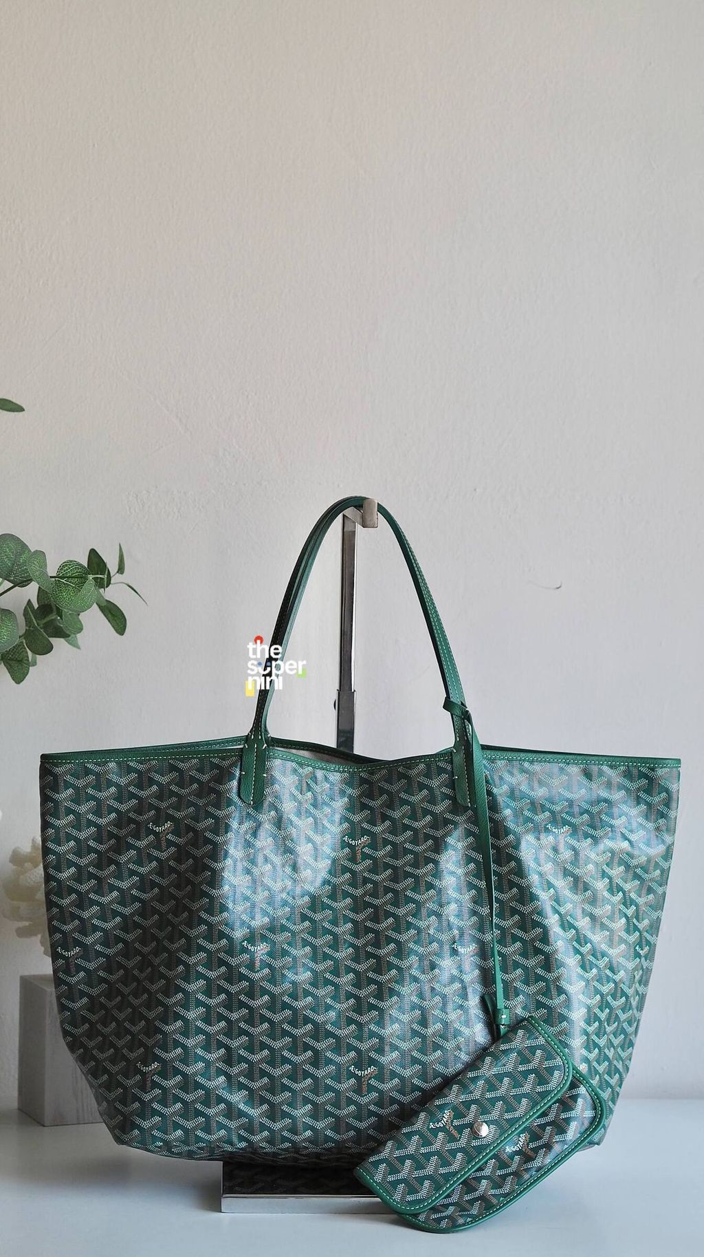 IMAGE 2026-02-12 14:25:05