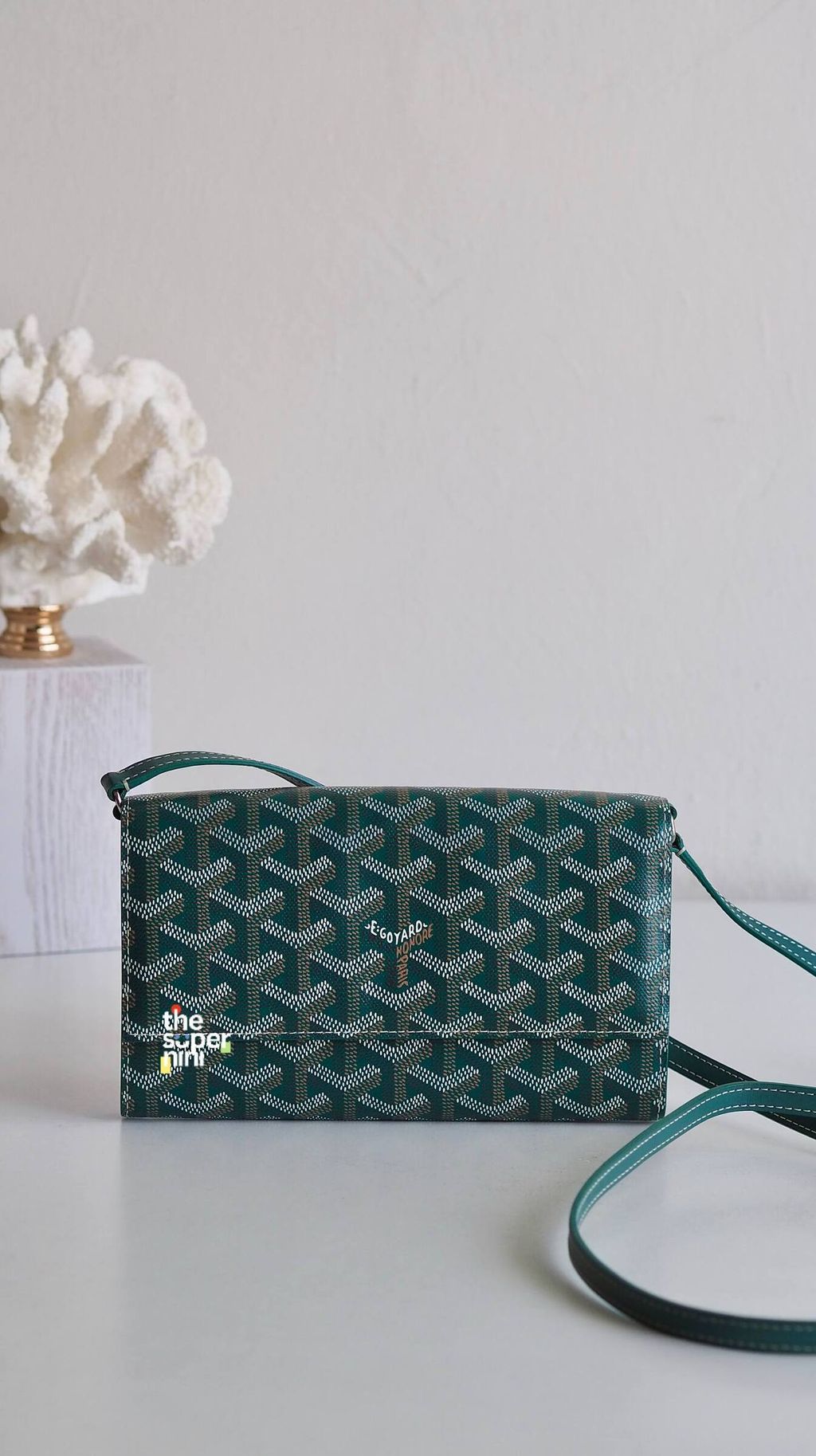 IMAGE 2026-02-12 14:30:55