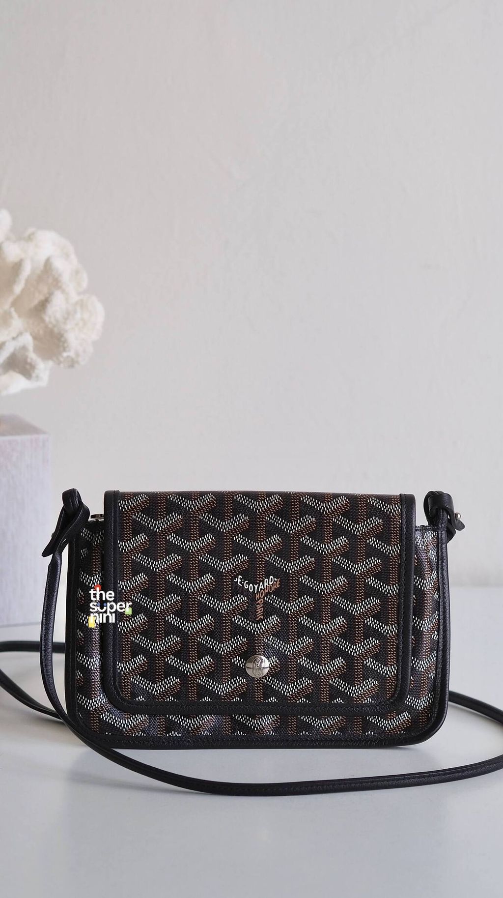 IMAGE 2026-02-12 14:36:36