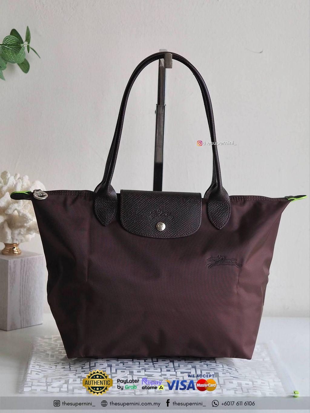 IMAGE 2026-02-12 14:50:47