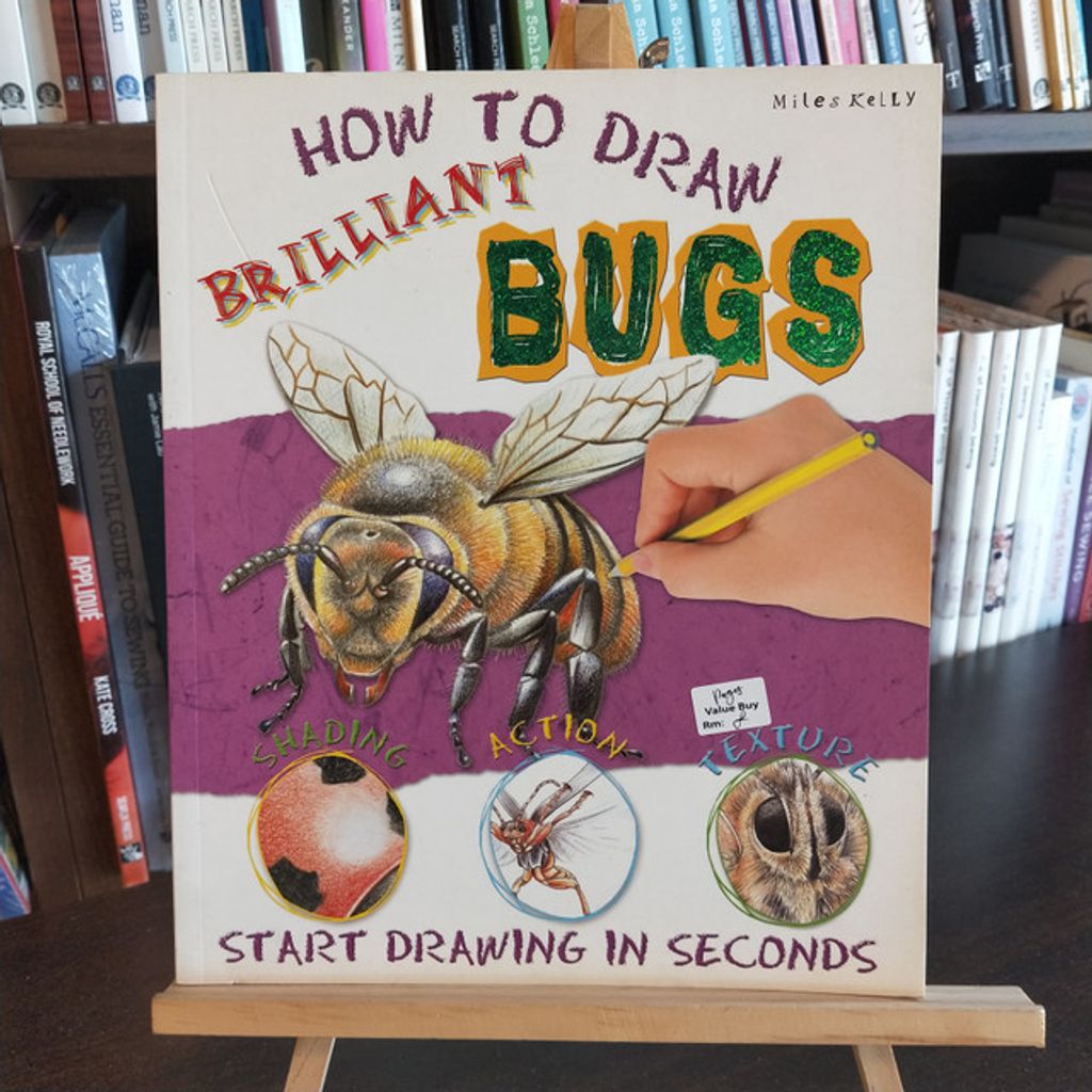 8-how to draw brilliant bugs.jpg