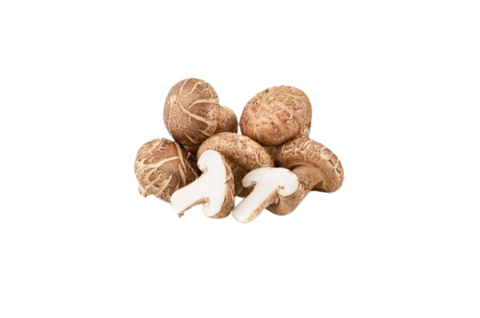 mushroom-removebg-preview (1)