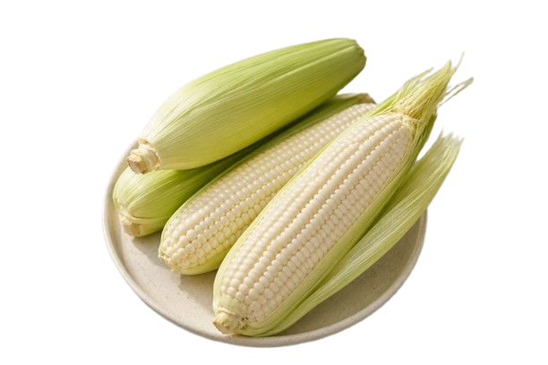 sweet_corn-removebg-preview