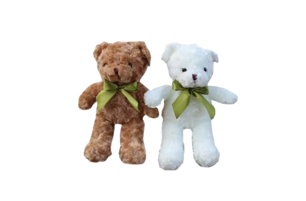 teddy-removebg-preview
