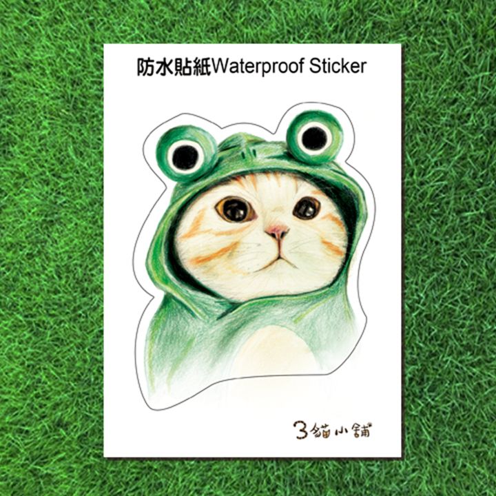 青蛙貓.jpg